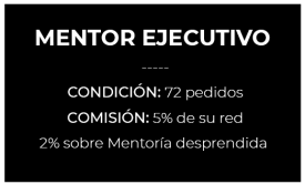 mentor-ejecutivo